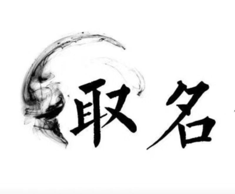  贵定宝宝取名 大师一对一人工起名