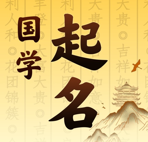 贵定国学起名 人工起名一对一